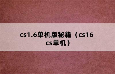 cs1.6单机版秘籍（cs16 cs单机）